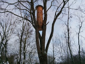 Естественное пчеловодство